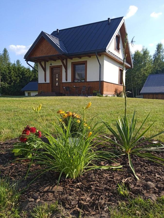 Ferienwohnung Siedlisko Czarny Dzieciol Narewka Exterior foto